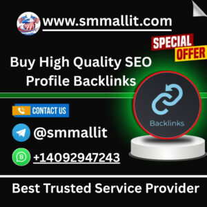 High Quality SEO Profile Backlinks